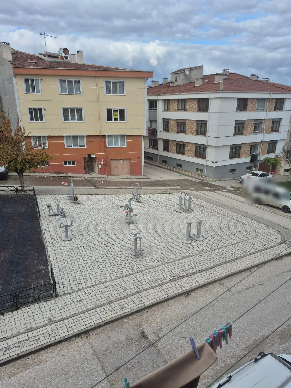 Öneri fotoğrafı: Bir kamelya olsyadı