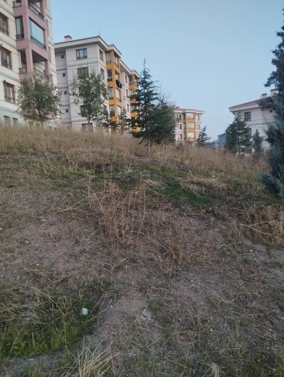 Öneri fotoğrafı: Peyzajı daha iyi ve bakımlı olsaydı